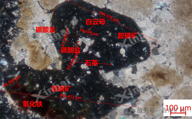 磷礦嵌布狀態(tài)